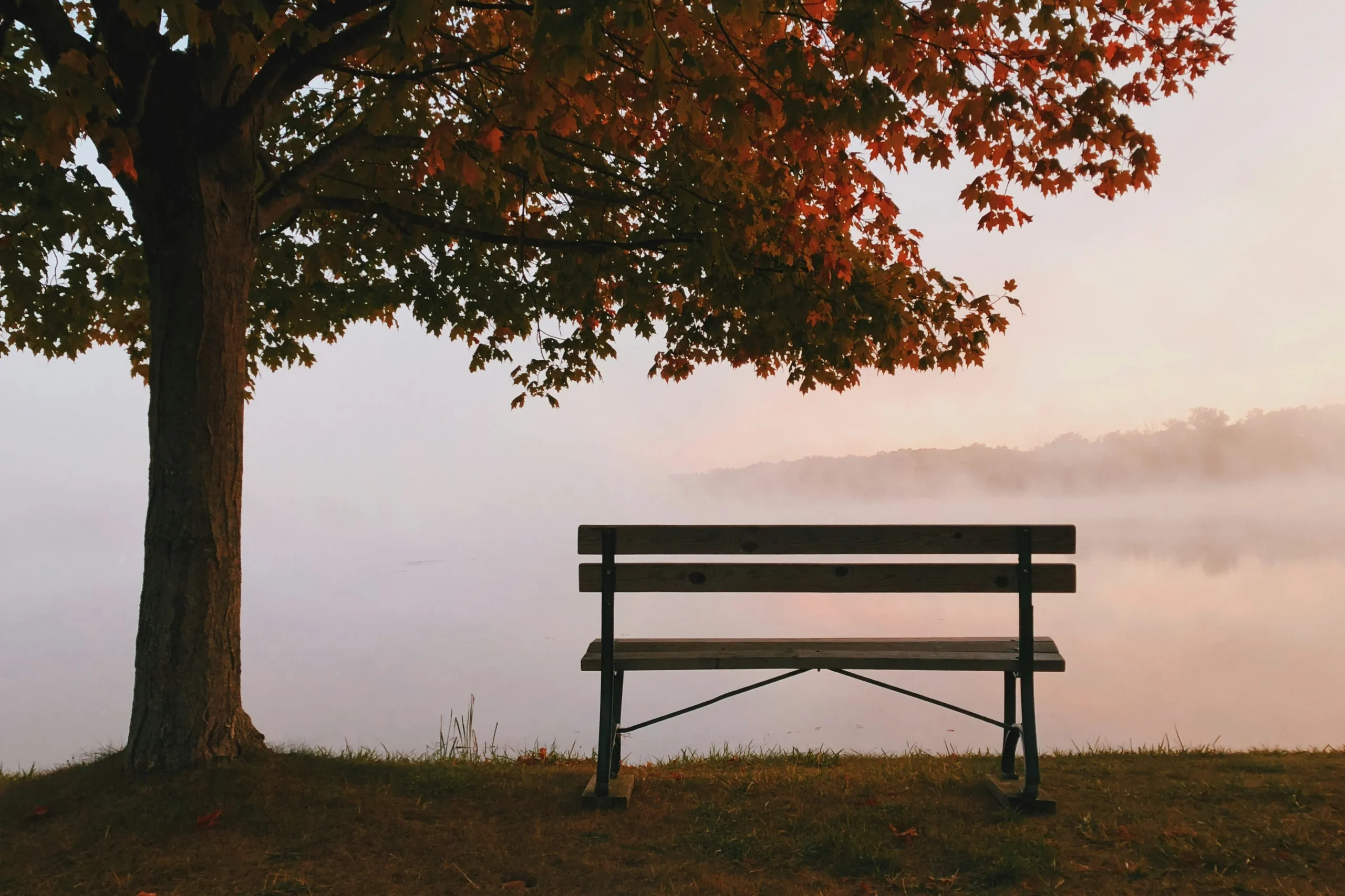 Empty bench facing a misty lake symbolising quiet reflection and therapeutic space.